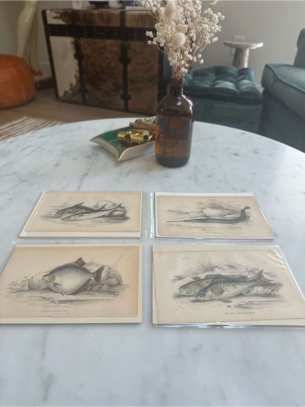 1800s Jardine’s The Naturalist’s Library Chromolithographs Rare Fish